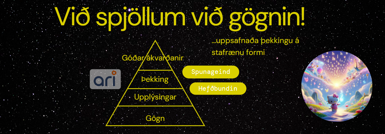 Ari - Spjallar við gögnin