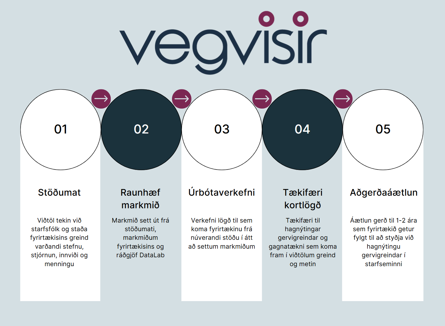 Vegvisir 3