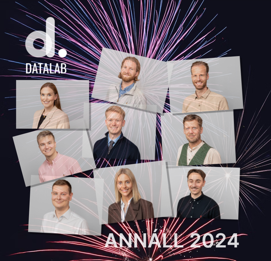 Hækkum flugið | Annáll DataLab 2024