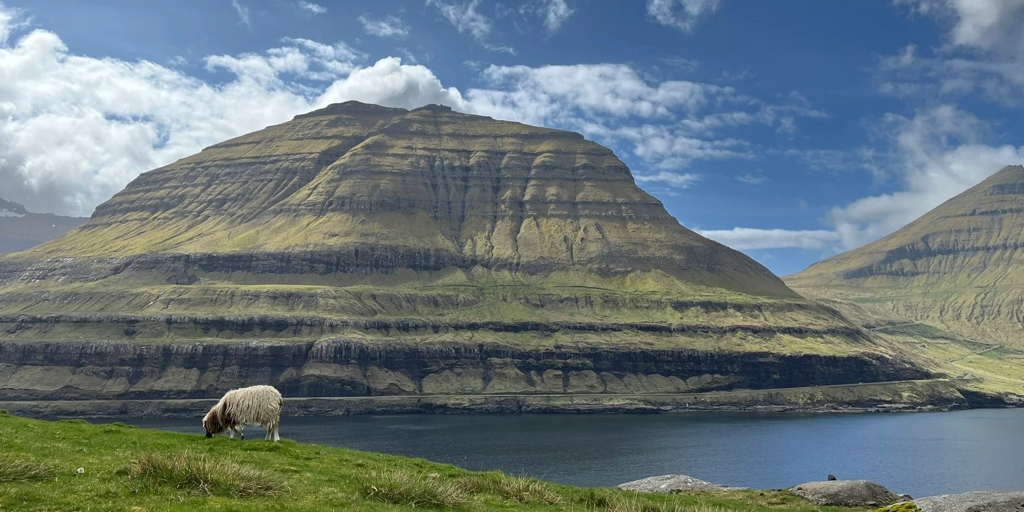 Nærhagaær spunagreindar